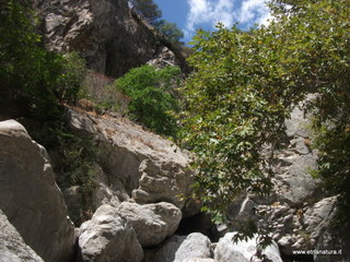 stoleone-17-08-2014 12-17-01